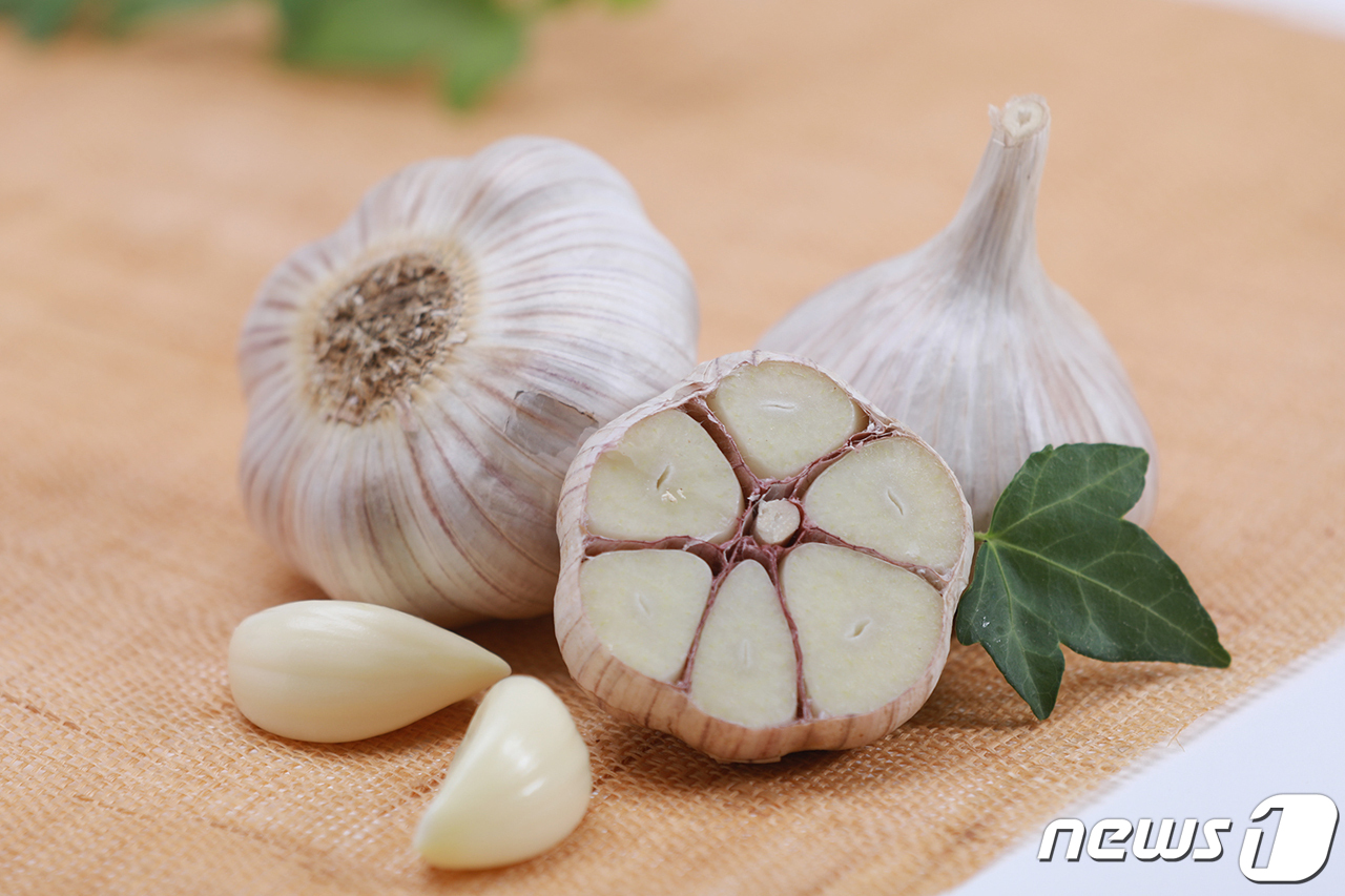 성남마늘 이미지