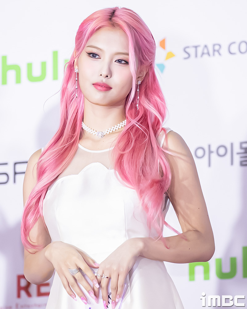 핑크헤어 이미지
