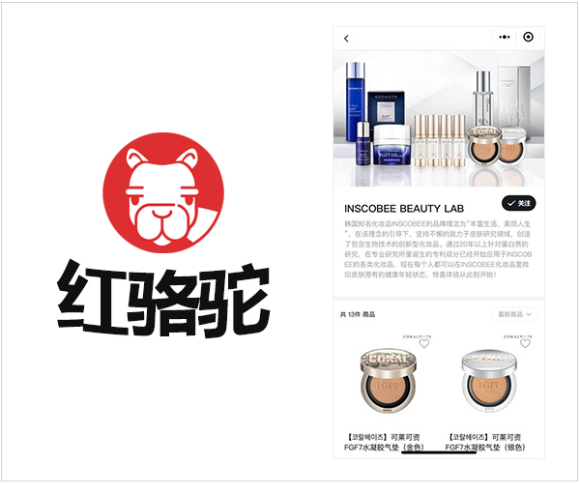 인스코비 이미지