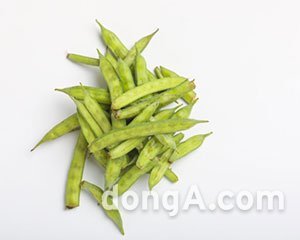 구아 이미지