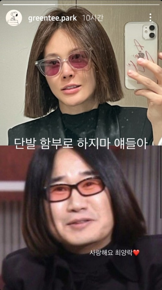 아이비 이미지