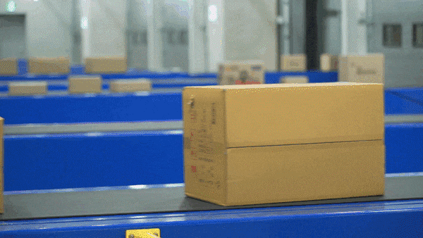 롯데글로벌로지스의 중부권 메가 허브터미널에서 택배를 크기·형태별로 인공지능(AI)이 자동 분류하고 있다. /롯데인재개발원 Acropolis