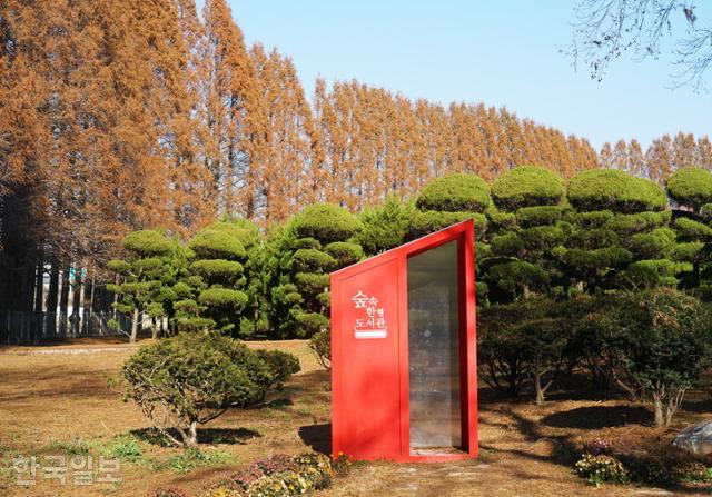나무&숲장식 이미지