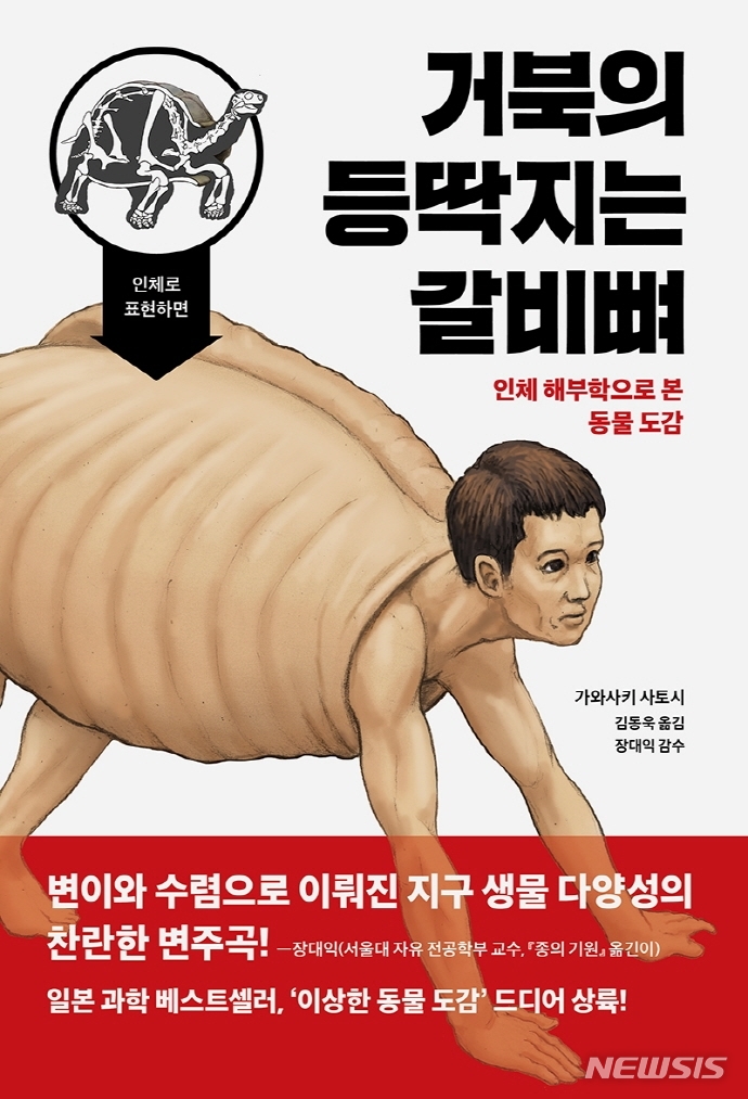 등딱지 이미지