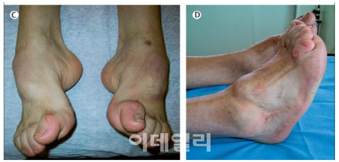 영바이오텍 이미지