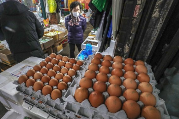 종로농수산 이미지