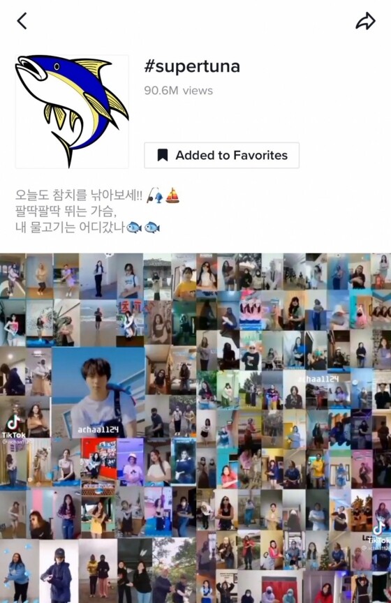 참치슈퍼 이미지
