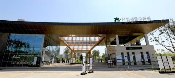 세종 이미지