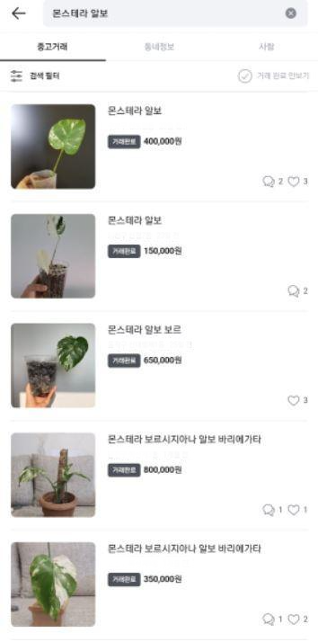 풀멍 이미지