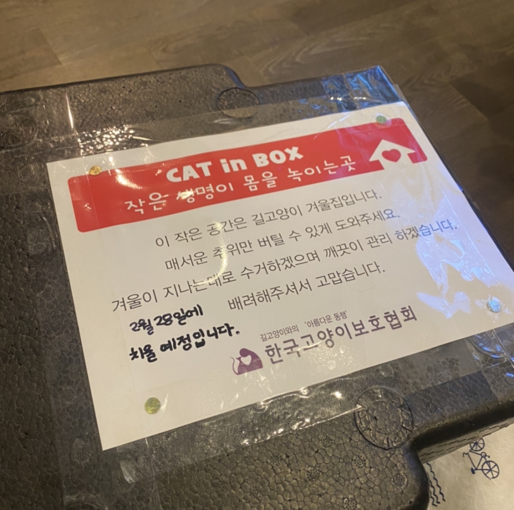 동네고양이 이미지