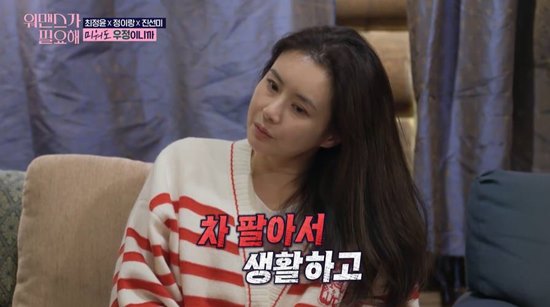진선미가방 이미지