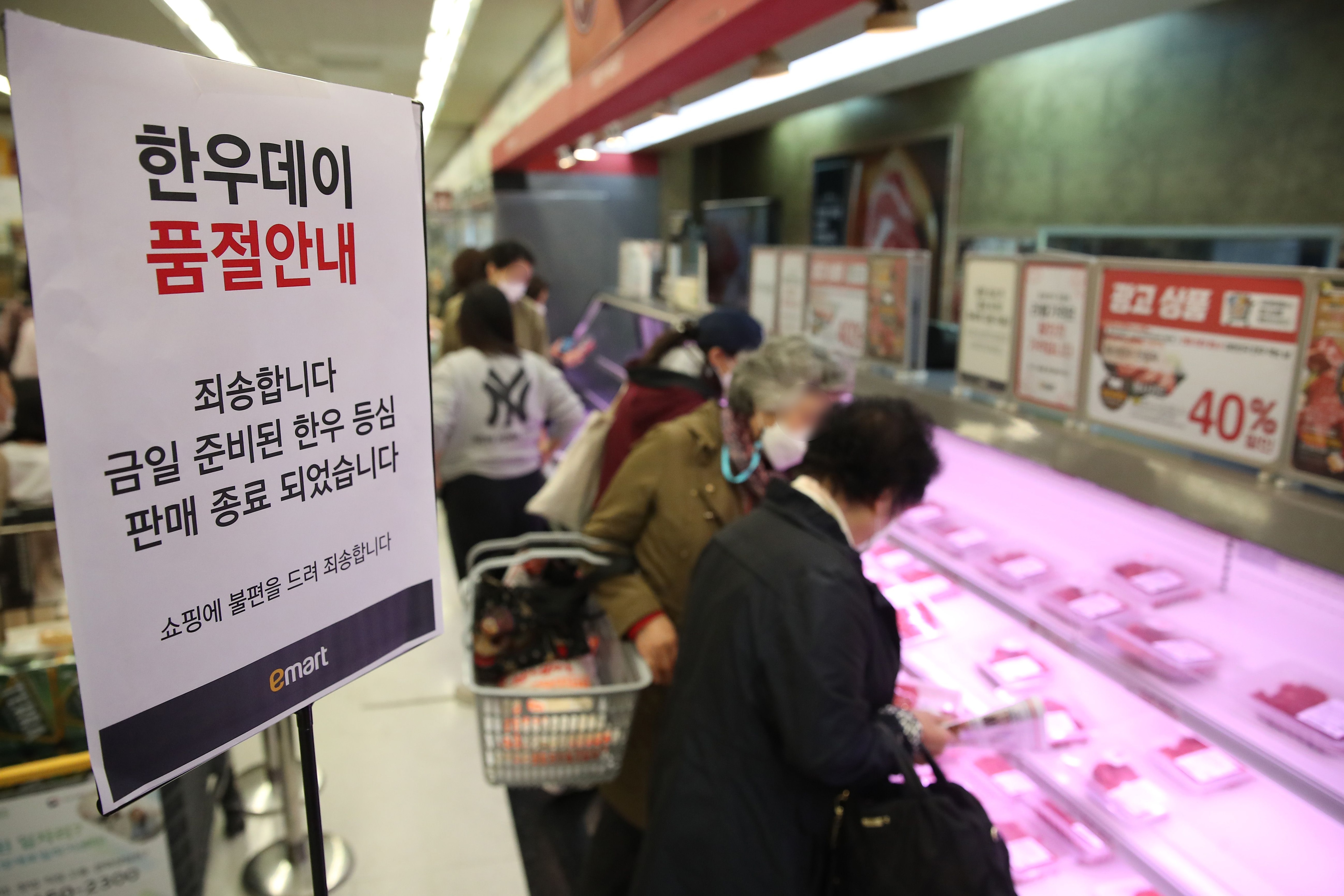 한우반마리 이미지