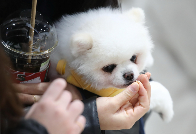시대용역(주) 이미지