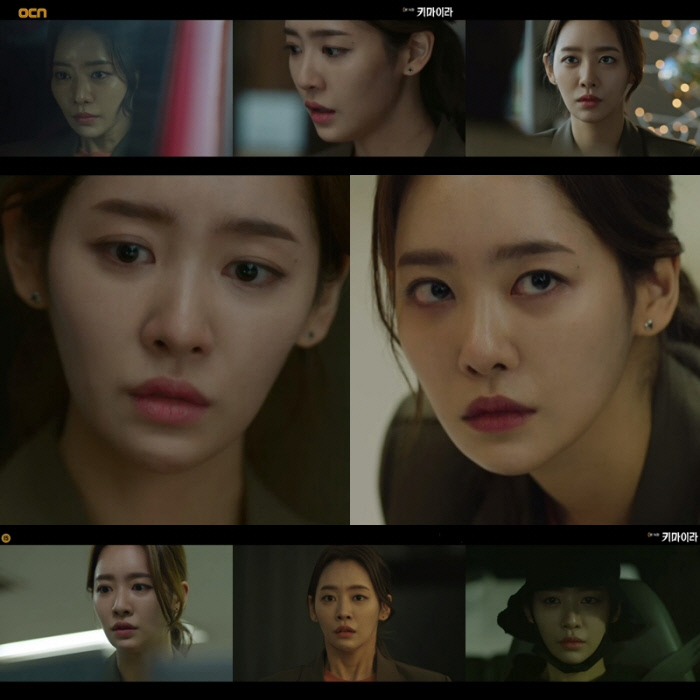 키마이라 이미지