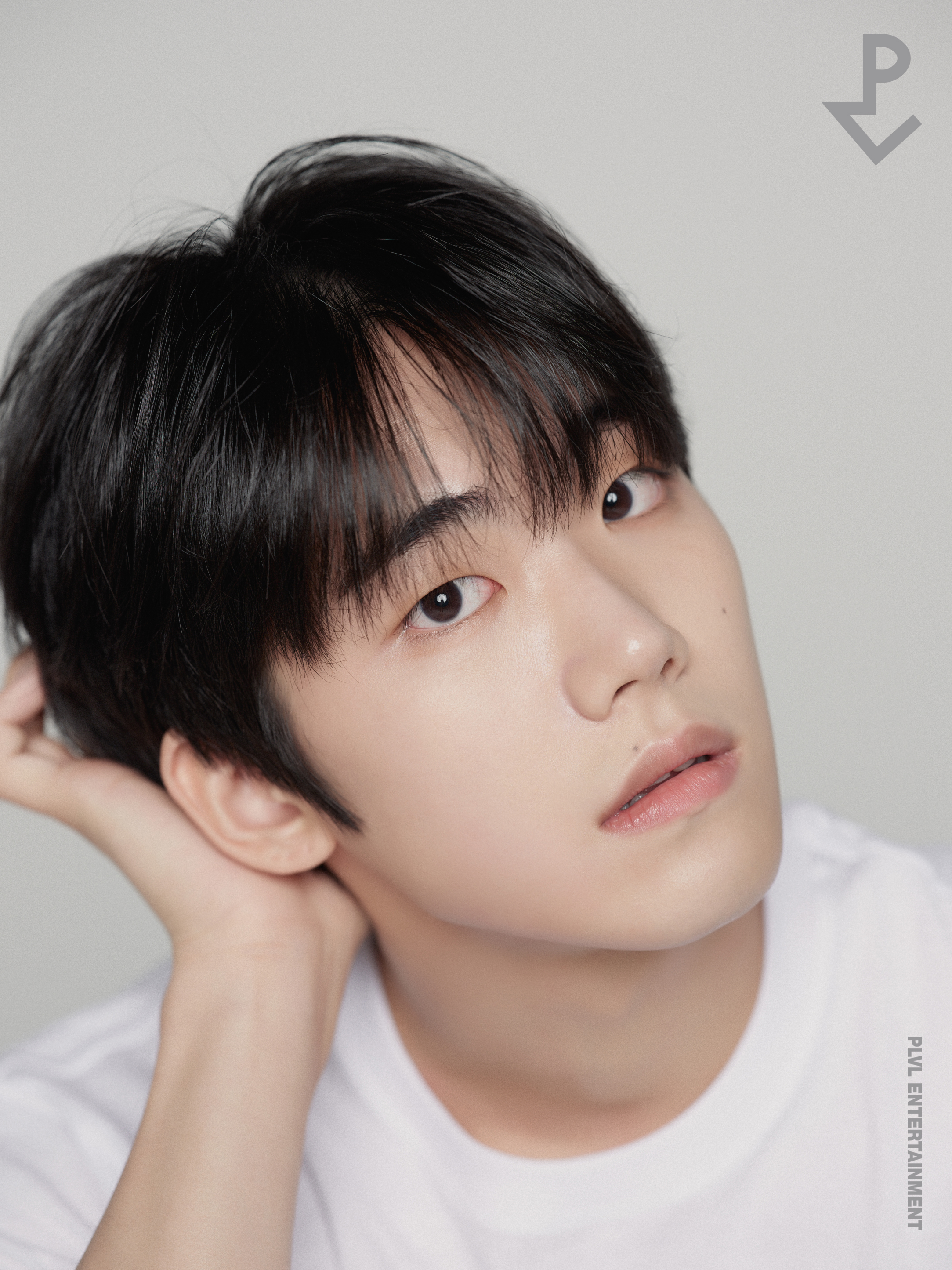 브이엘 이미지