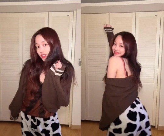 빵댕이 이미지