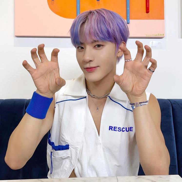 비비드베리 이미지