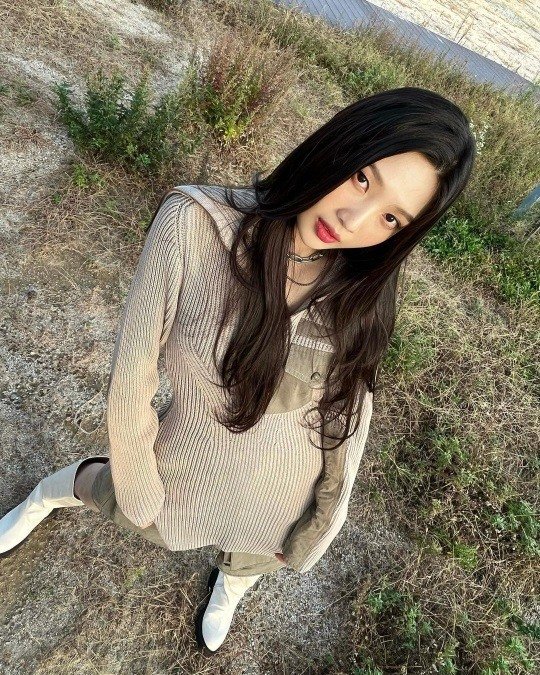 조이 이미지