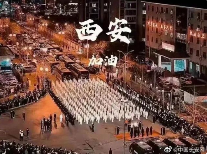 시안21 이미지