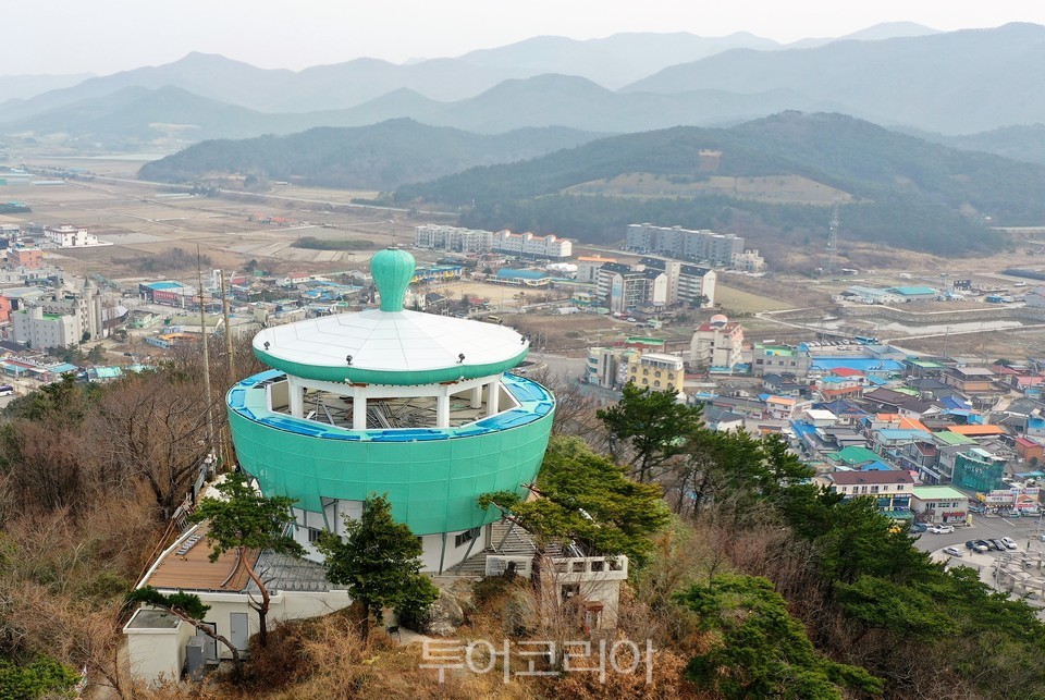 닭이봉 이미지