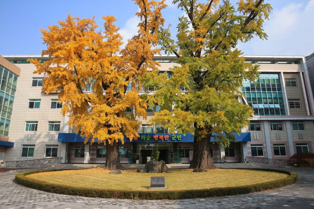 브 이미지