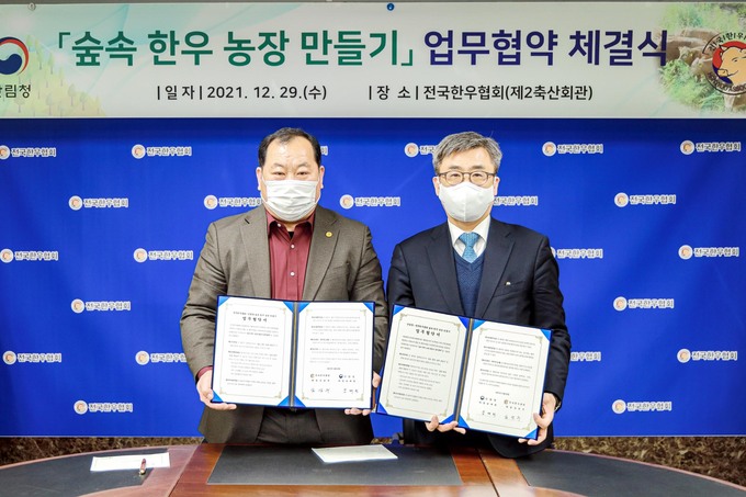 숲속한우 이미지