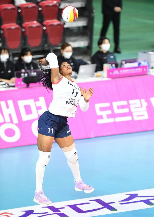모마 이미지