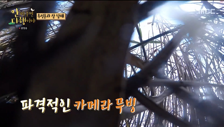 통발집 이미지