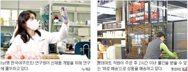 톱제화 이미지
