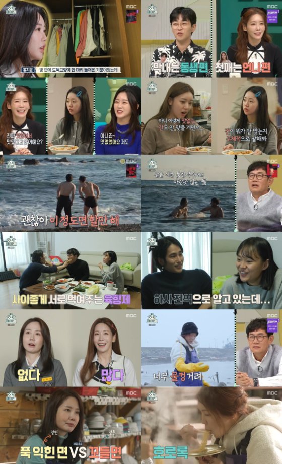 메이트 이미지