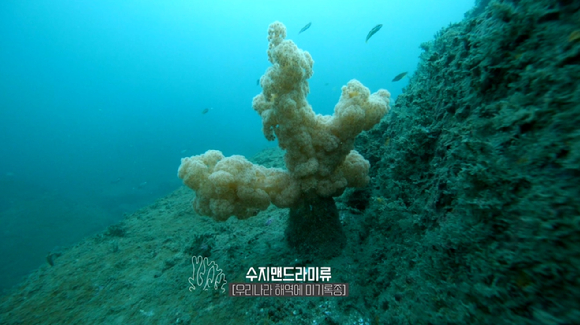 산호기획 이미지
