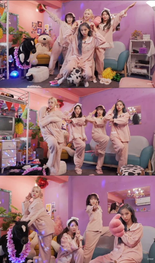 쪼꼬미 이미지