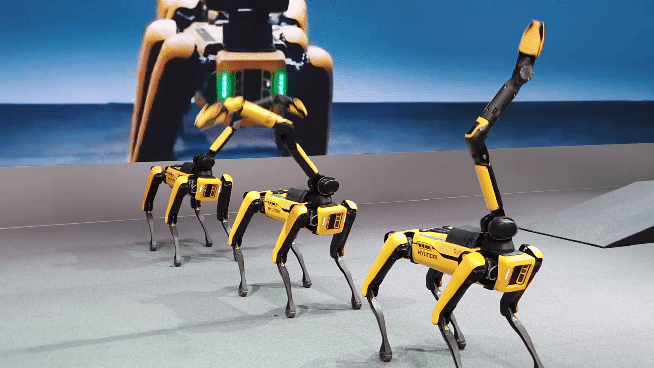 현대차그룹이 인수한 보스턴 다이내믹스의 로봇개 스팟이 CES2022 현대차 부스에서 군무를 추고 있다. [원호연 기자]