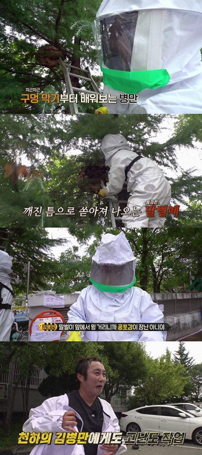 공생 이미지