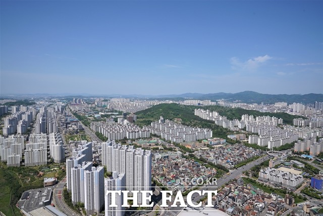 지피자 이미지