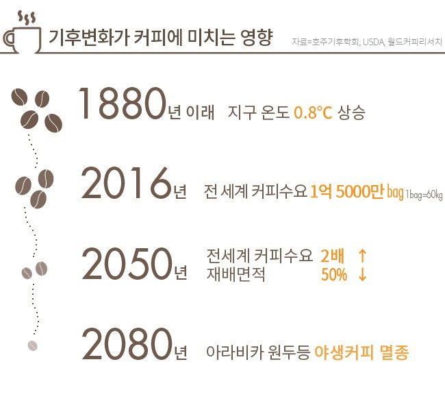 보고커피중 이미지