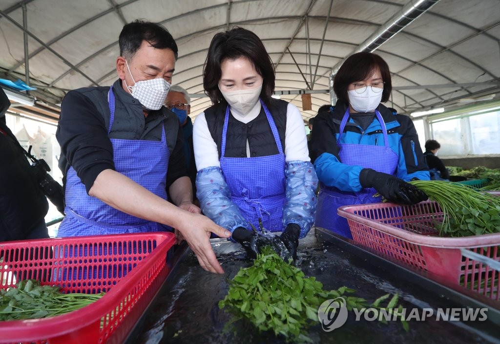 한재미나리영농조합법인 이미지
