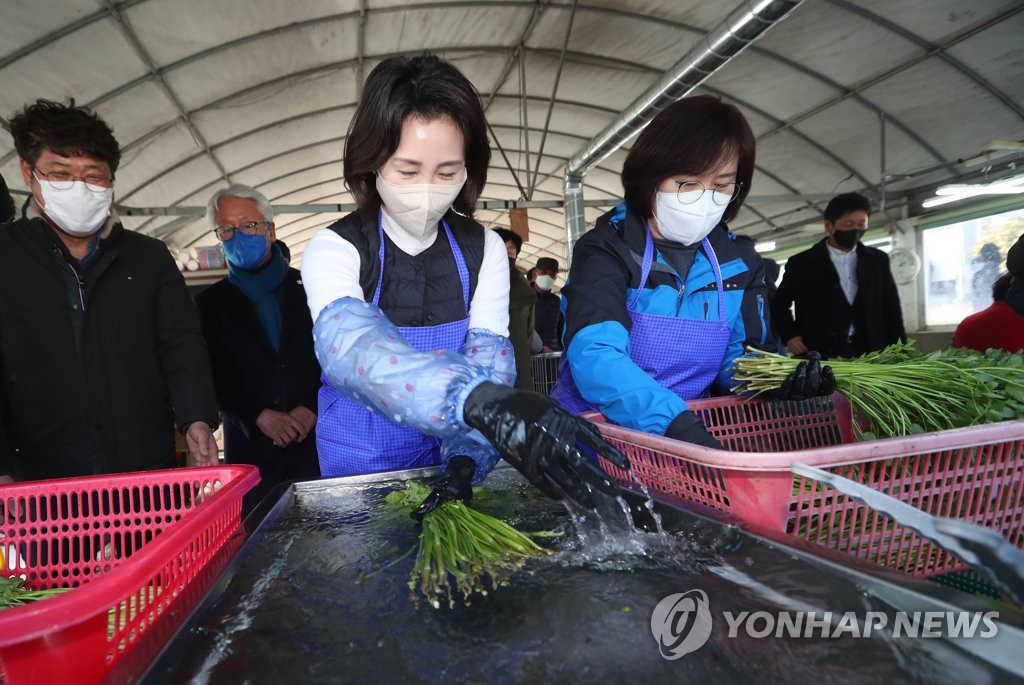 한재미나리영농조합법인 이미지