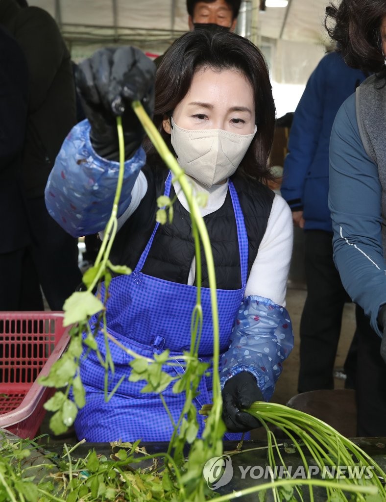 한재미나리영농조합법인 이미지