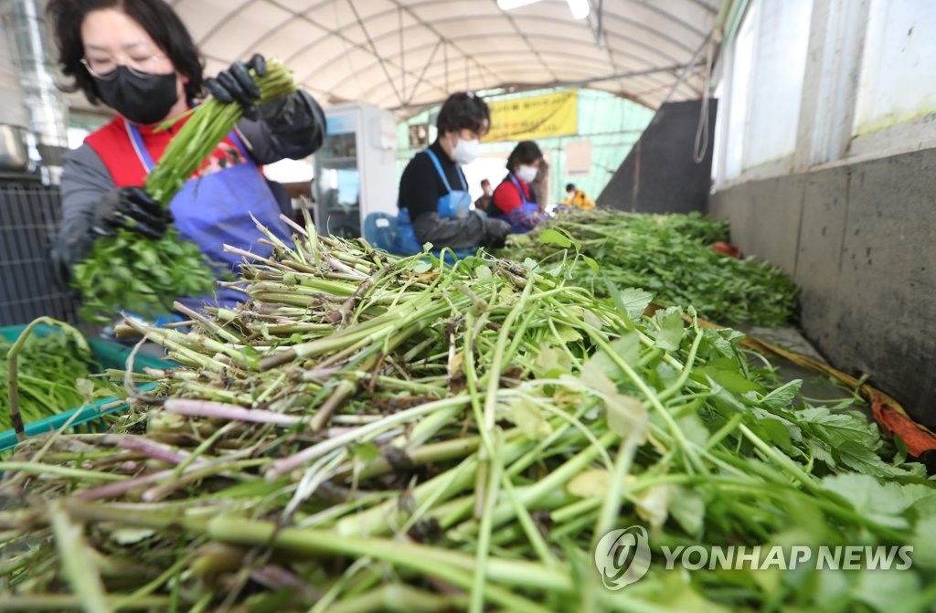 한재미나리영농조합법인 이미지