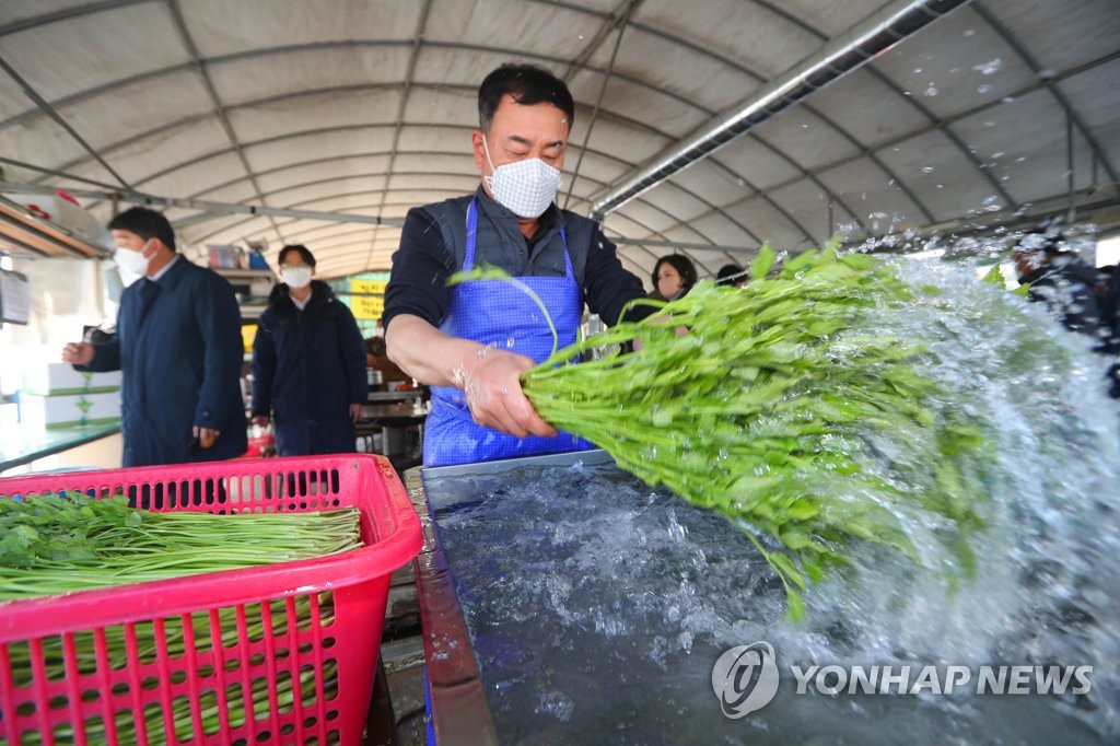 한재미나리영농조합법인 이미지