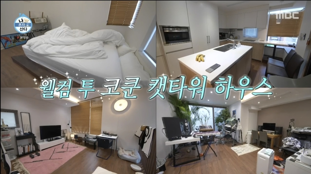 모던코드 이미지