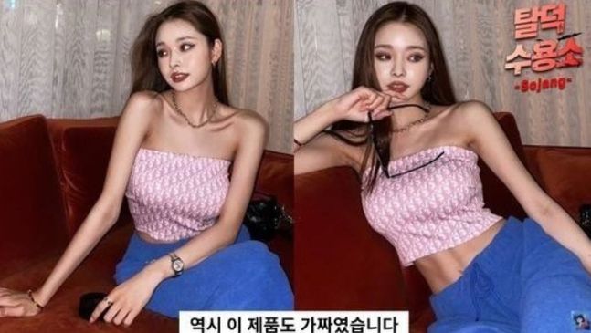 프리지아 이미지
