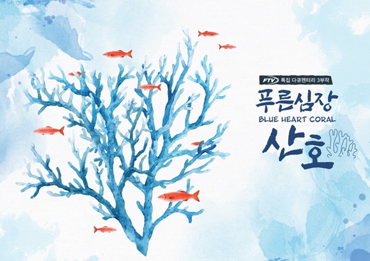 산호기획 이미지