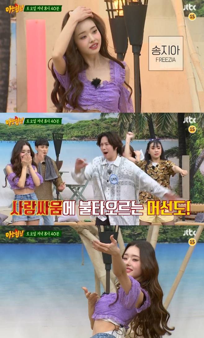 프리지아 이미지