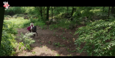 KBS 2TV ‘연모’(2021) 낙마 장면