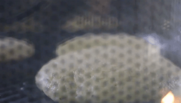 비스포크 큐커 에어프라이어 기능을 활용해 쿠키를 구워내는 모습./사진=백유진 기자 byj@