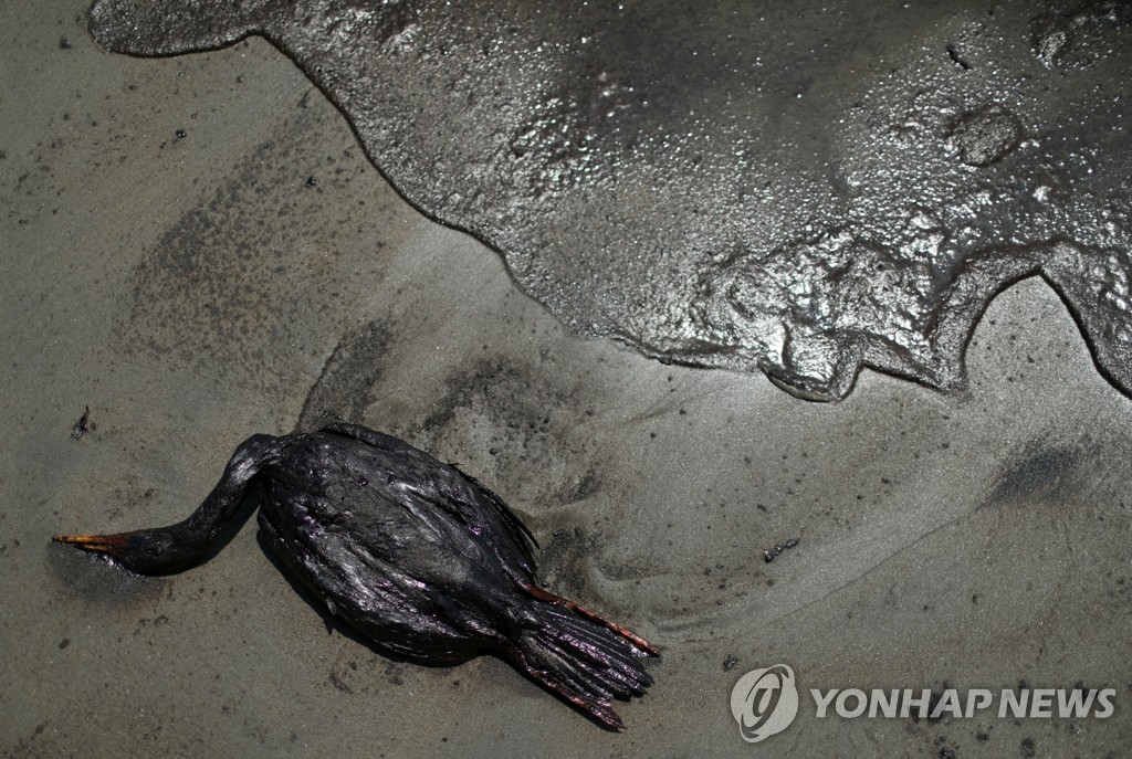 화산환경 이미지