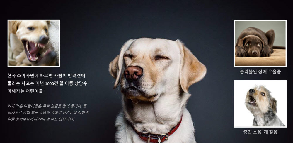 에이아이티 이미지