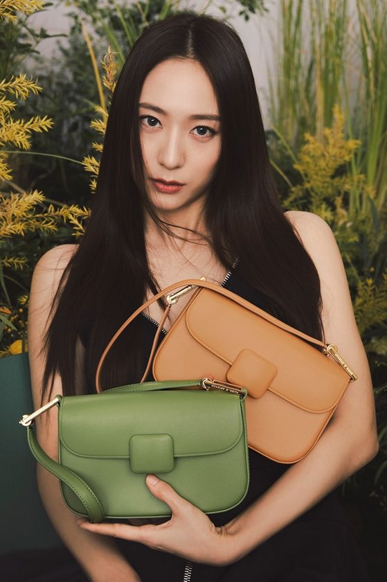 찰스네 이미지